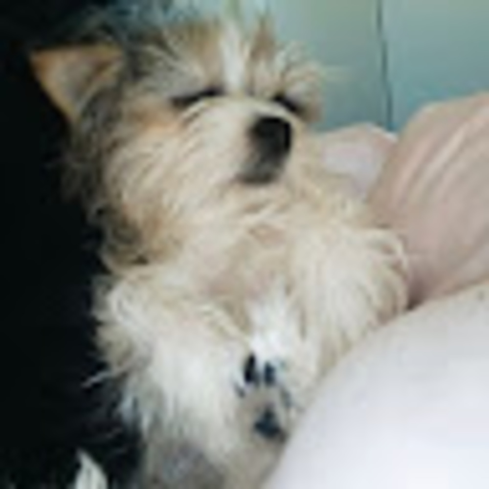 Meet your Posher, Alenka